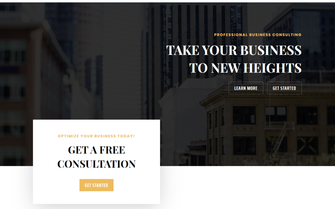 Business Consultant Landing Page